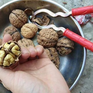 Nhân óc chó nếp