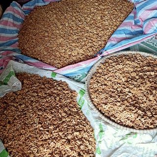 Quả óc chó giấy( vỏ siêu mỏng)