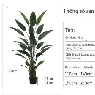 Cây dong riềng giả trang trí