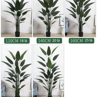 Cây dong riềng giả trang trí