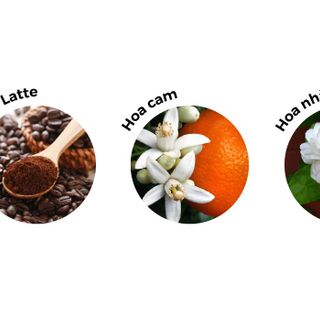 Nước Hoa Adopt' Lady Glitter 30ML