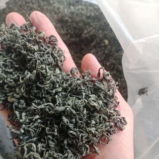 Chè búp thái nguyên