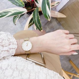 ĐỒNG HỒ DANIEL WELLlNGTON PETITE DÂY LUPIWS ĐỦ SIZE