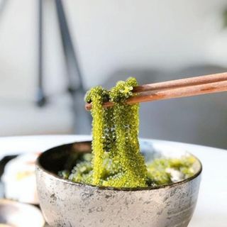 [THÙNG] RONG NHO - HIKARIO - 80 HỘP/THÙNG