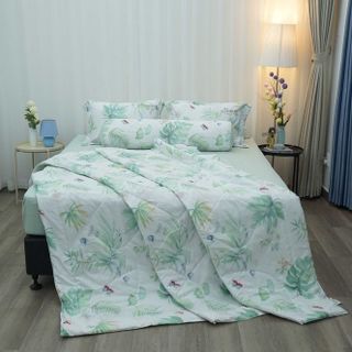 Bộ drap giường Hàn Quốc Everon Lite chất vải microfiber ELM collection 3 (4 món, không bao gồm chăn) giá sỉ