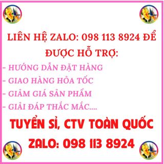XE ĐẨY TRẺ EM CAO CẤP NHIỀU TƯ THẾ SEEBABY Q5 (KÈM ĐỆM + MÀN)