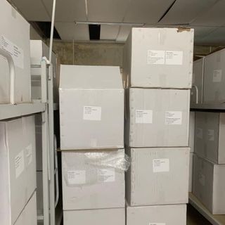 Tes Bio Mỹ