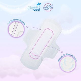 Combo 10 gói băng vệ sinh thảo dược Doctor Cool Ban ngày 8 miếng