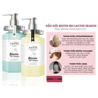 Cặp dầu gội Lactus 500ml dùng trong salon tóc