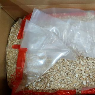 Điều SP sống thùng 11.34kg
