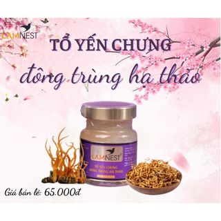 Yến Sào LamNest đông trùng hạ thảo (30% yến tươi ) tổ yến chưng giúp tăng cường sức đề kháng