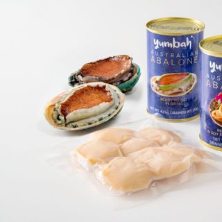 BÀO NGƯ XANH NHẬP ÚC