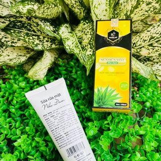 Sửa rửa mặt nha đam