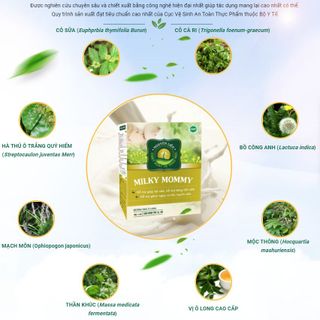 MILKY MOMMY Trà Lợi Sữa Cao Cấp Cực Nhạy, hộp 30 gói
