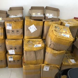 Sỉ Móc khóa đồng xu 12 Con Giáp