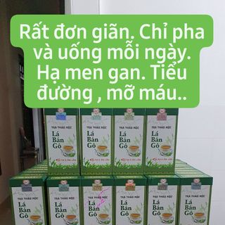 TRÀ THẢO MỘC BẢN GÔ