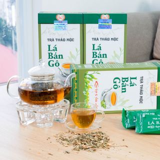 TRÀ THẢO MỘC BẢN GÔ
