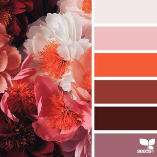 SƠN LẺ MÀU ĐÁNG YÊU CHO KHÁCH YÊU DECOR TRANG TRÍ PHÒNG !