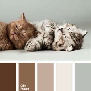 SƠN LẺ MÀU ĐÁNG YÊU CHO KHÁCH YÊU DECOR TRANG TRÍ PHÒNG !