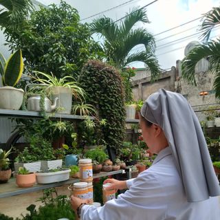 Trà gừng Thiên Ân