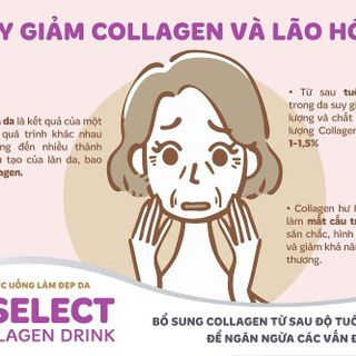 NƯỚC UỐNG LÀM ĐẸP DA S SELECT COLLAGEN DRINK (HỘP 10 LỌ)