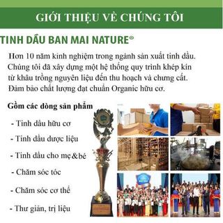 Tinh dầu sả chanh 100ml - Ban mai nature - Có bảo hành