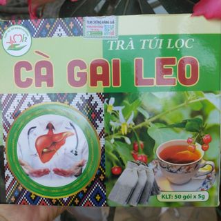 Trà Túi Lọc - CÀ GAI LEO