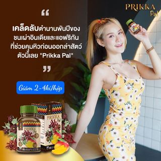 Viên uống thảo dược hỗ trợ giảm cân Prikka Pal Thailand
