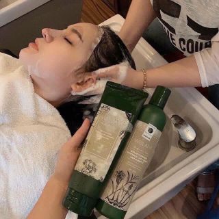 Cặp dầu gôi gừng Weilaya