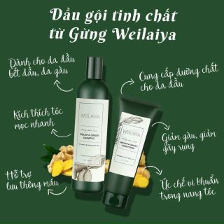 Cặp dầu gôi gừng Weilaya