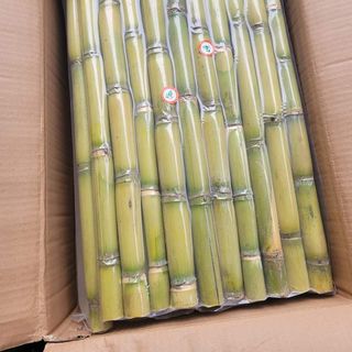 Mía đông lạnh gia công theo thương hiệu khách hàng