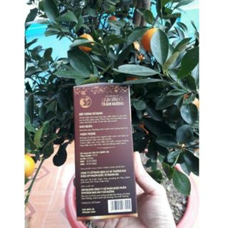 Dầu gội hữu cơ Hà Thủ Ô ( Trầm Hương)
