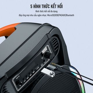 Loa Bluetooth Karaoke ROBOT RB450 Hiệu Ứng LED RBB Công Suất 10W Kèm Micro Âm Thanh Đỉnh - Bảo Hành 12 Tháng BenZ Store