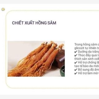 Sữa rửa mặt Ngọc Nhan