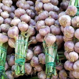 Tỏi tím Đà Lạt