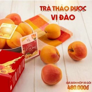Trà đào đông anh
