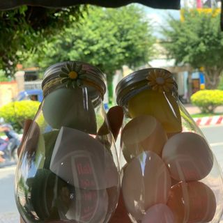 Bông phấn hủ