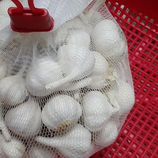 Tỏi Thái nhiều nhánh sỉ 6x.000/kg