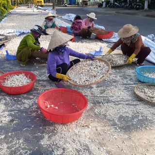 Tỏi Thái nhiều nhánh sỉ 6x.000/kg