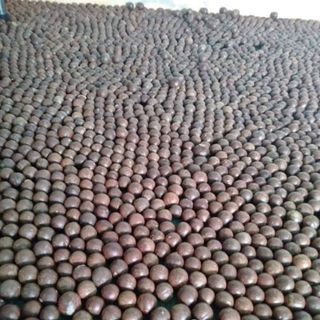 Hạt macca sấy nứt vỏ loại 1 túi 500g