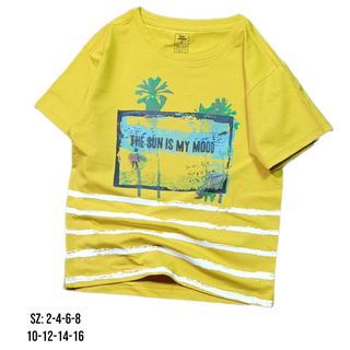 Áo thun in cây dừa cao cấp