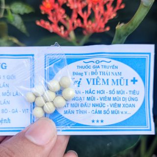 Thuốc viêm xoang ( đổ thái nam chính gốc )