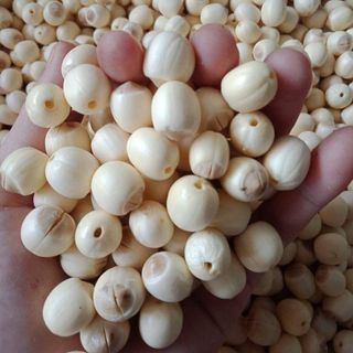 HẠT SEN TƯƠI ĐỒNG THÁP
