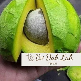 BƠ BOOTH DAK LAK