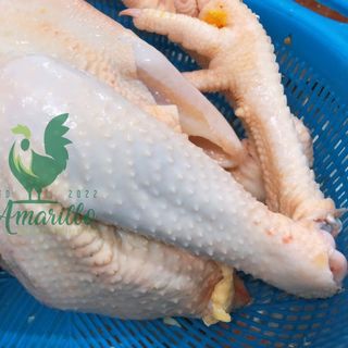 Thịt gà hữu cơ nguyên con, da vàng, thịt dai và ngọt - con khoảng 1,6-2kg