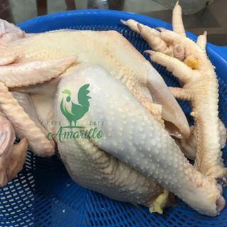 Thịt gà hữu cơ nguyên con, da vàng, thịt dai và ngọt - con khoảng 1,6-2kg