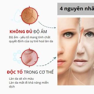 Serum Gialuron của Nga  làm giảm quá trình lão hóa
