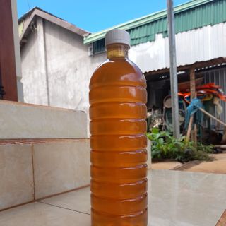Mật ong hoa cà phê chai 1 lít