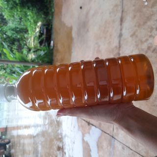 Mật ong hoa nhãn chai 1 lít