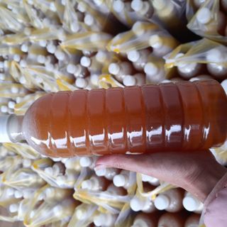 Mật ong hoa nhãn chai 1 lít